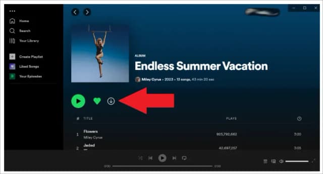 Cómo descargar música de Spotify a mi PC sin complicaciones y fácil Cómo descargar música de Spotify a mi PC sin complicaciones y fácil